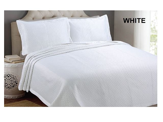 康美彩卡一09-12